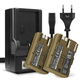 2x 1600mAh 7.4V + Chargeur