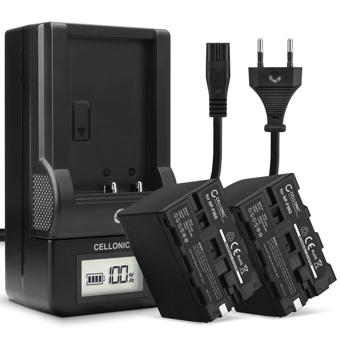 Pack de 2x batteries NP-F930 NP-F950 NP-F960 NP-F970 XL-B2 XL-B3 6600mAh pour appareil photo Sony DSR-PD150 PD170 FDR-AX1 DCR-VX2100 GV-D200 HDR-FX7e FX1 FX1000 - Avec chargeur BC-VM50 et câble d'alimentation