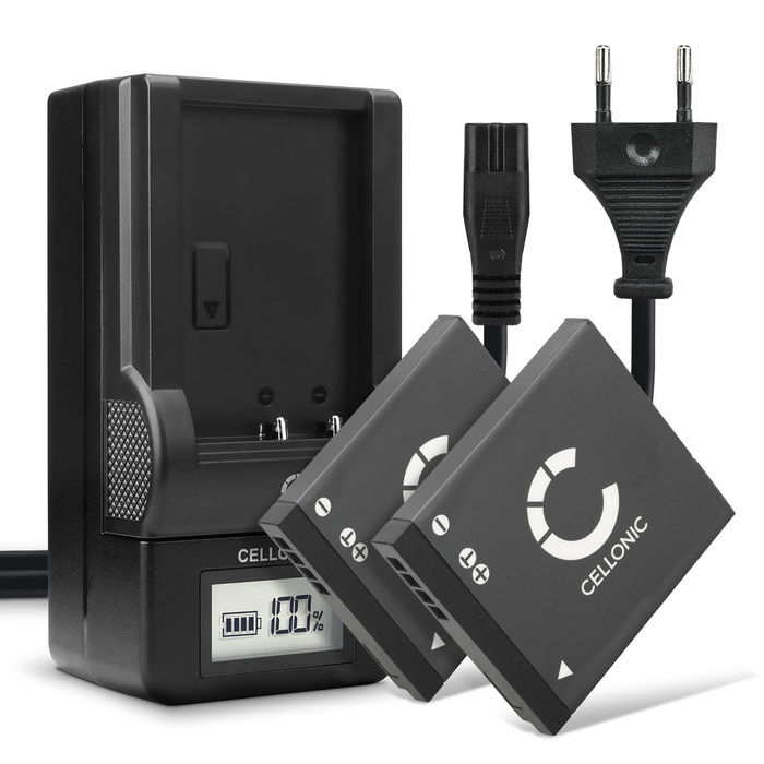 2x Panasonic Lumix DMC-FS40 Batterie