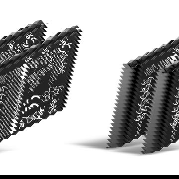 2x accu voor Kodak Easyshare DX6490 DX7440 DX7590 DX7630 P850 P880 - 1400mAh KLIC-5001 vervangende accu voor camera