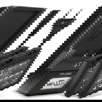 Pack de 2x batteries CGA-S002e CGA-S002e-1B CGR-S002 DMW-BM7 700mAh pour appareil photo Panasonic Lumix DMC-FZ10 DMC-FZ20 DMC-FZ5 -FZ1 -FZ15 -FZ2 -FZ3 DMC-FC20 - Avec chargeur et câble d'alimentation