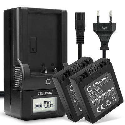 Pack de 2x batteries CGA-S002e CGA-S002e-1B CGR-S002 DMW-BM7 700mAh pour appareil photo Panasonic Lumix DMC-FZ10 DMC-FZ20 DMC-FZ5 -FZ1 -FZ15 -FZ2 -FZ3 DMC-FC20 - Avec chargeur et câble d'alimentation