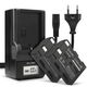 2x Accu NP-400 1600mAh + Oplader