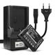 2x Accu DMW-BLD10 900mAh + Oplader