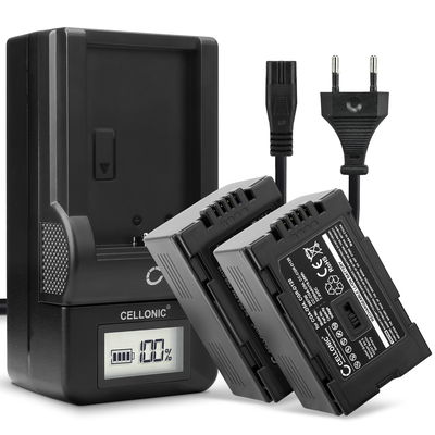 2x Accu voor Panasonic AG-DVX100 NV-GS11 NV-DS60 NV-GS1 NV-DS27 NV-DS29 NV-MX500 NV-DA1 NV-DS15 camera - CGA-D54 CGR-D120 -D220 2200mAh + Oplader Vervangende batterij fototoeste, oplader, oplaadkabel