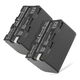 2x Accu NP-F10, -F20, NP-FS21, -FS33 2800mAh