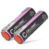 2x Batterie 2900mAh