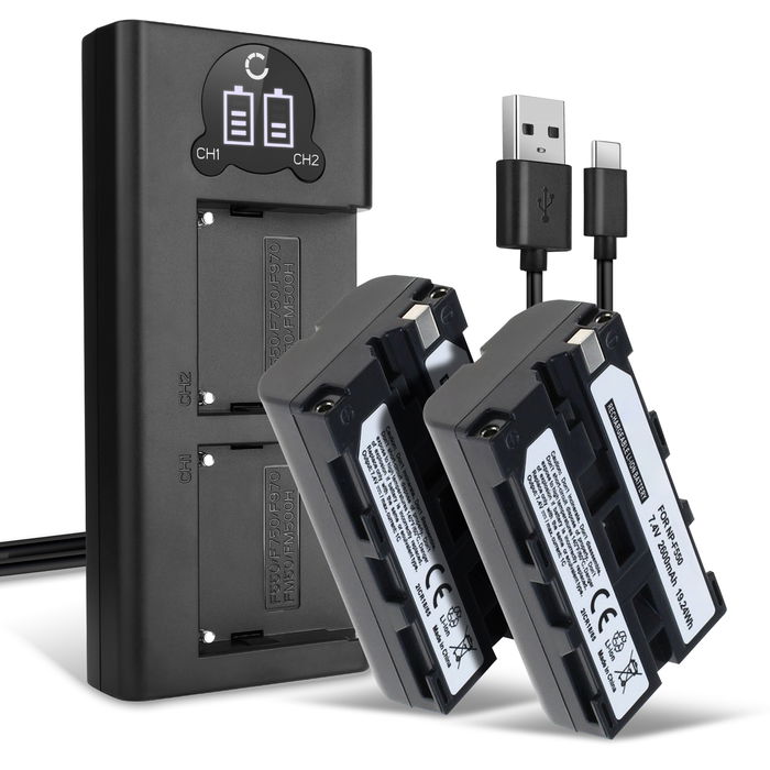 2x Sony DCR-TRV120 Batterie + Chargeur Double 2600mAh de CELLONIC