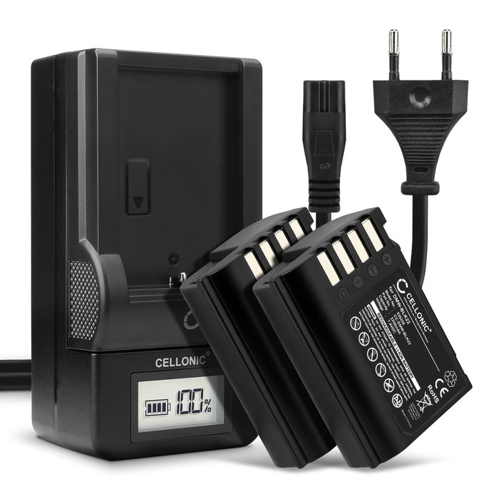 2x Batterie pour Panasonic Lumix DC-S5 IIX Accu 2250mAh - Batterie de rechange appareil photo et caméra + Chargeur