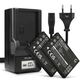 2x Accu NP-60 1180mAh + Oplader